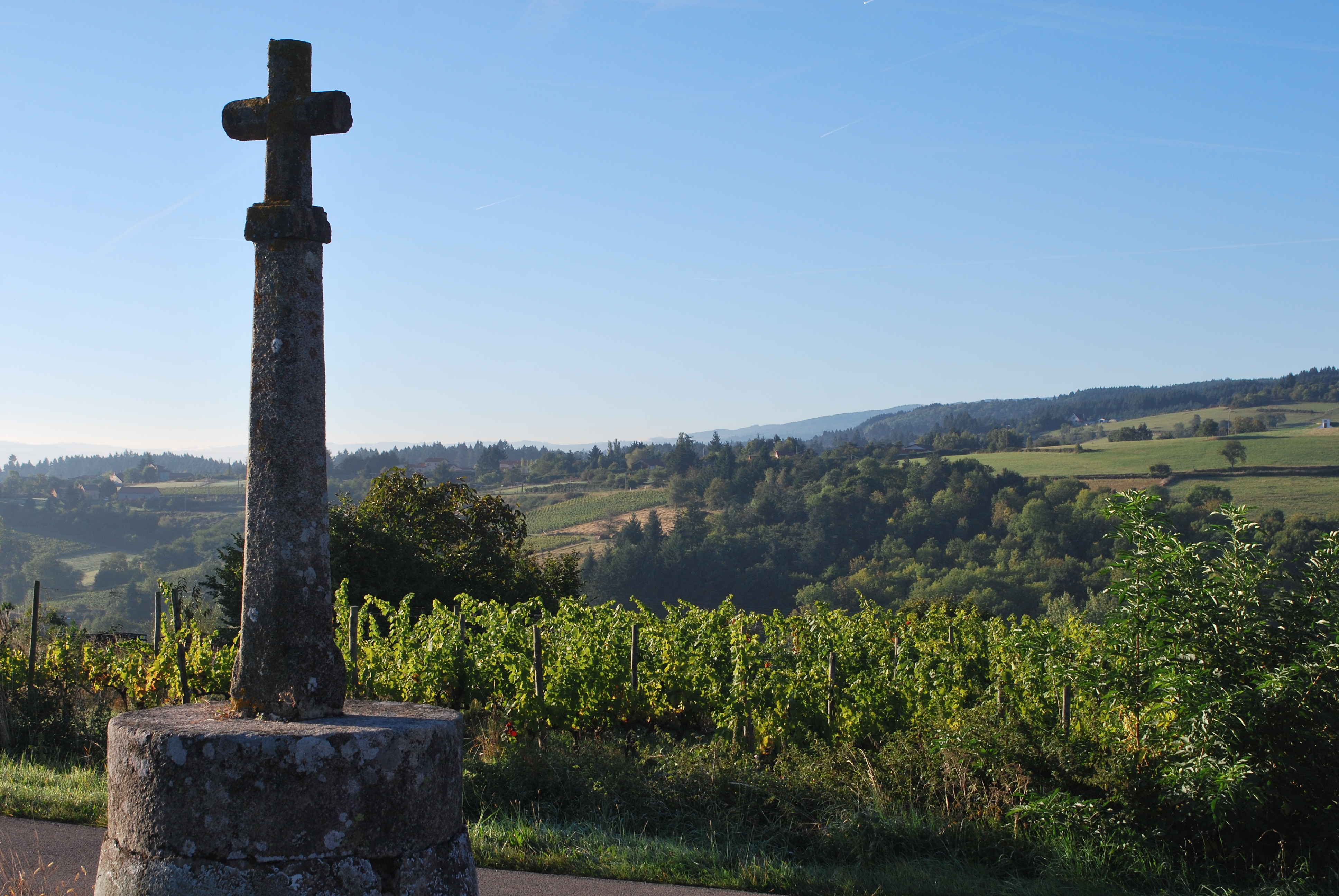 Cross in the fields