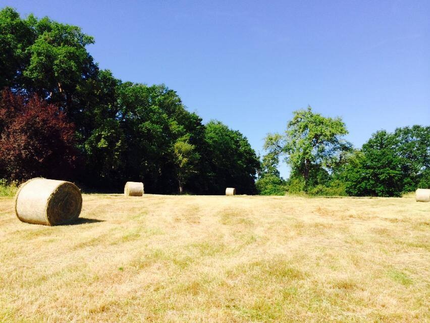 Fields of les bardons