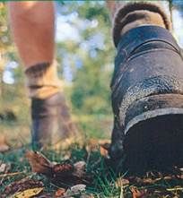 Walking in the gardens of Les Bardons