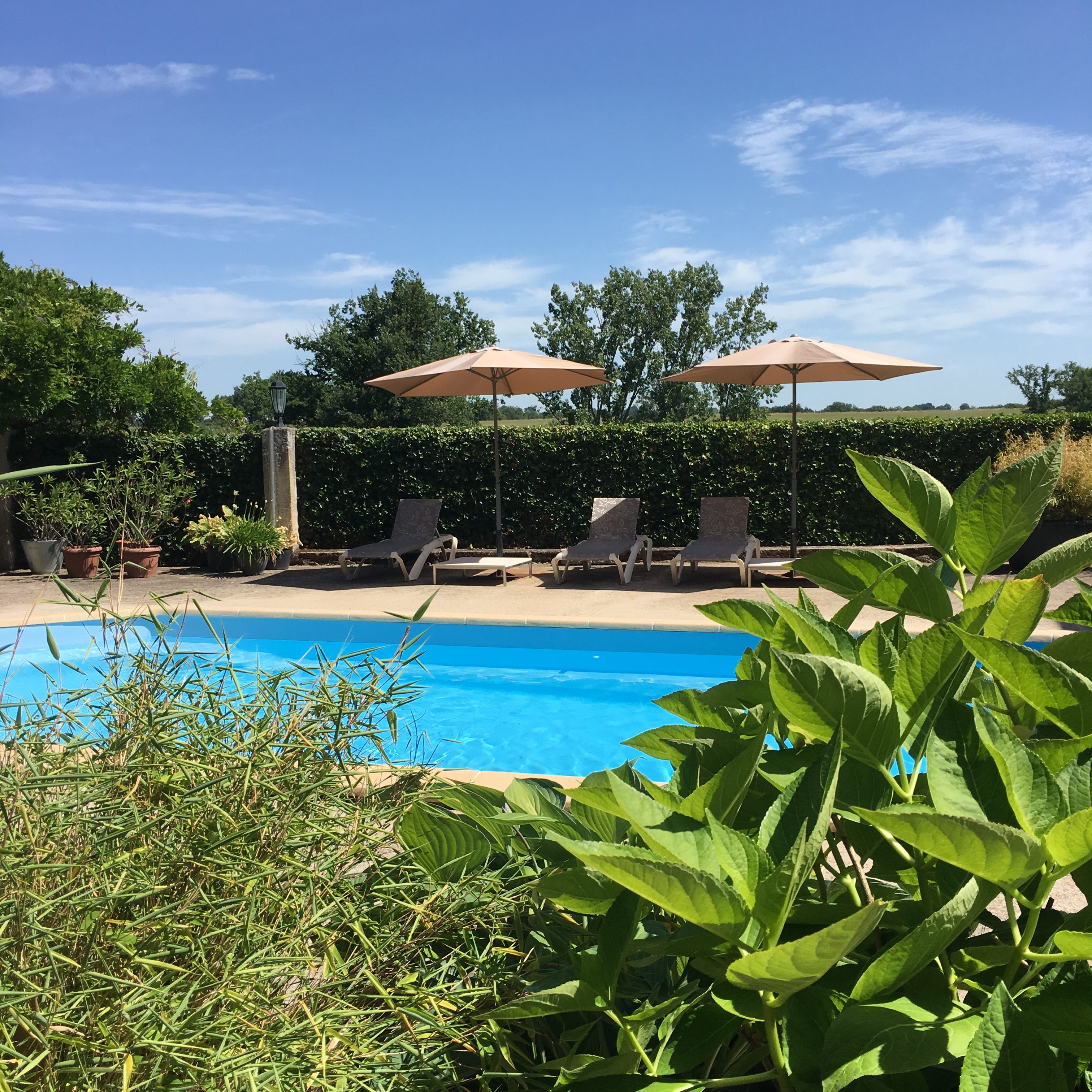 pool at chateau les bardons